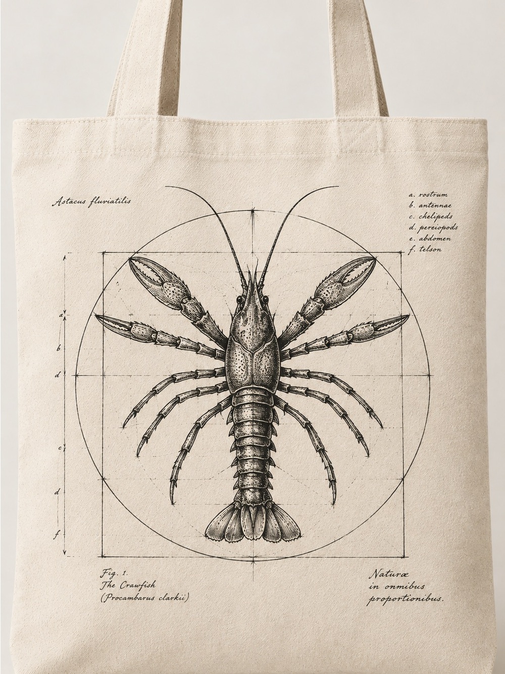 Canvas Tote Bag with Louisiana Crawfish Illustration - Cream